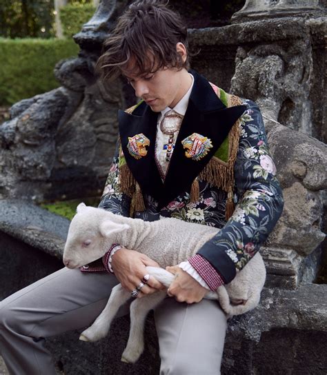 harry styles gucci photoshoot.